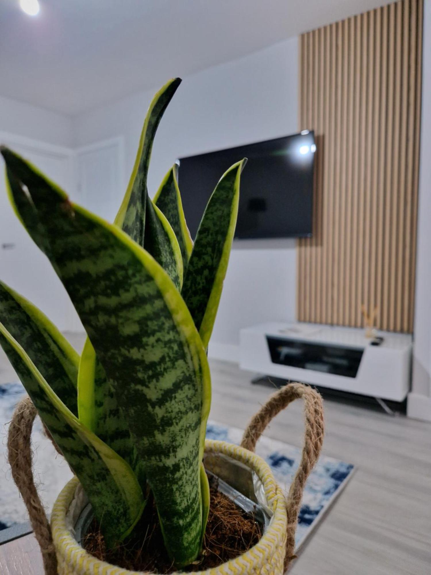 Stylish 2 Bed Home- Short Walk To Tottenham Stadium/Stations Londra Dış mekan fotoğraf